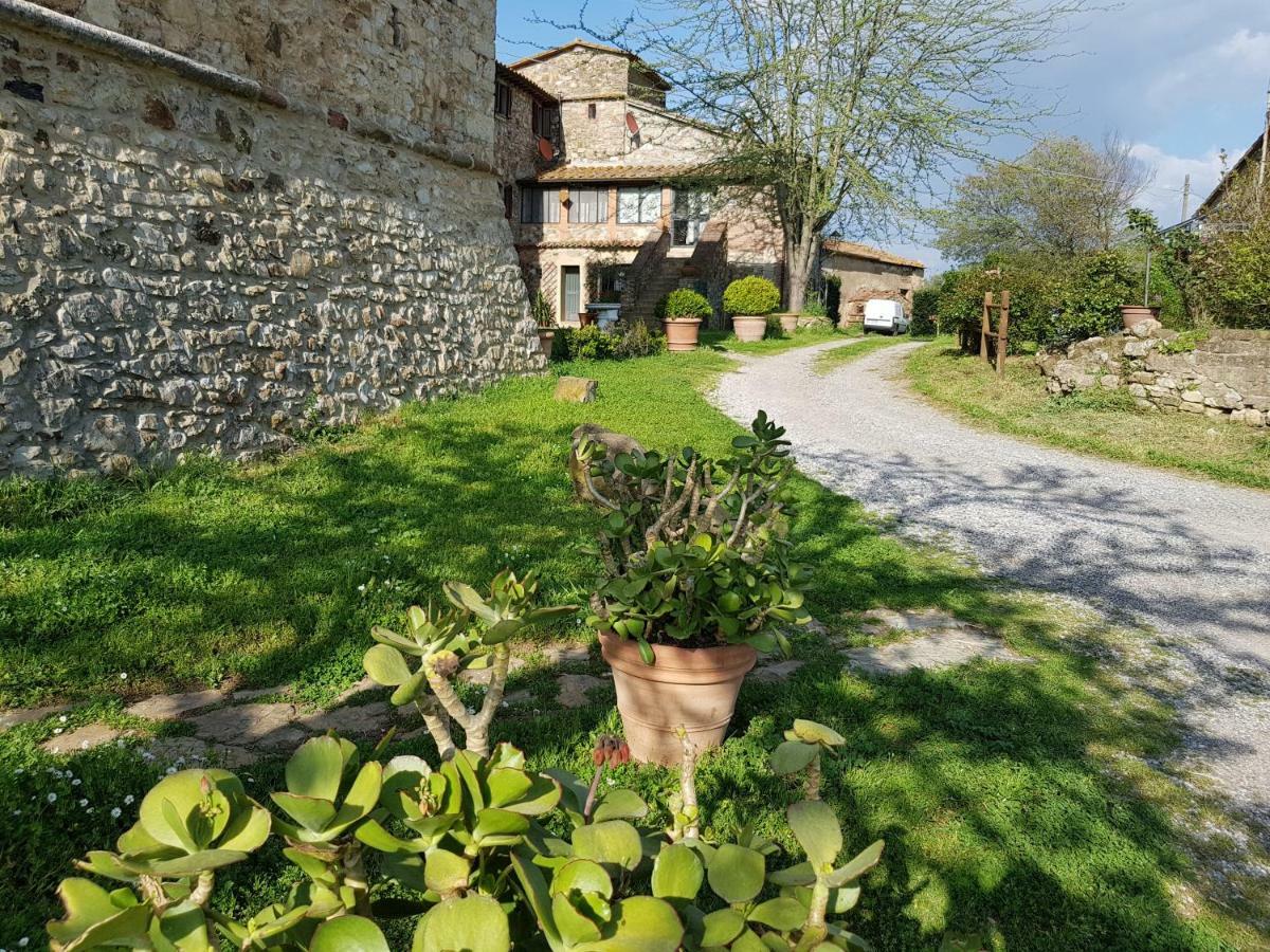 Castello Di Casallia Vetulonia 外观 照片