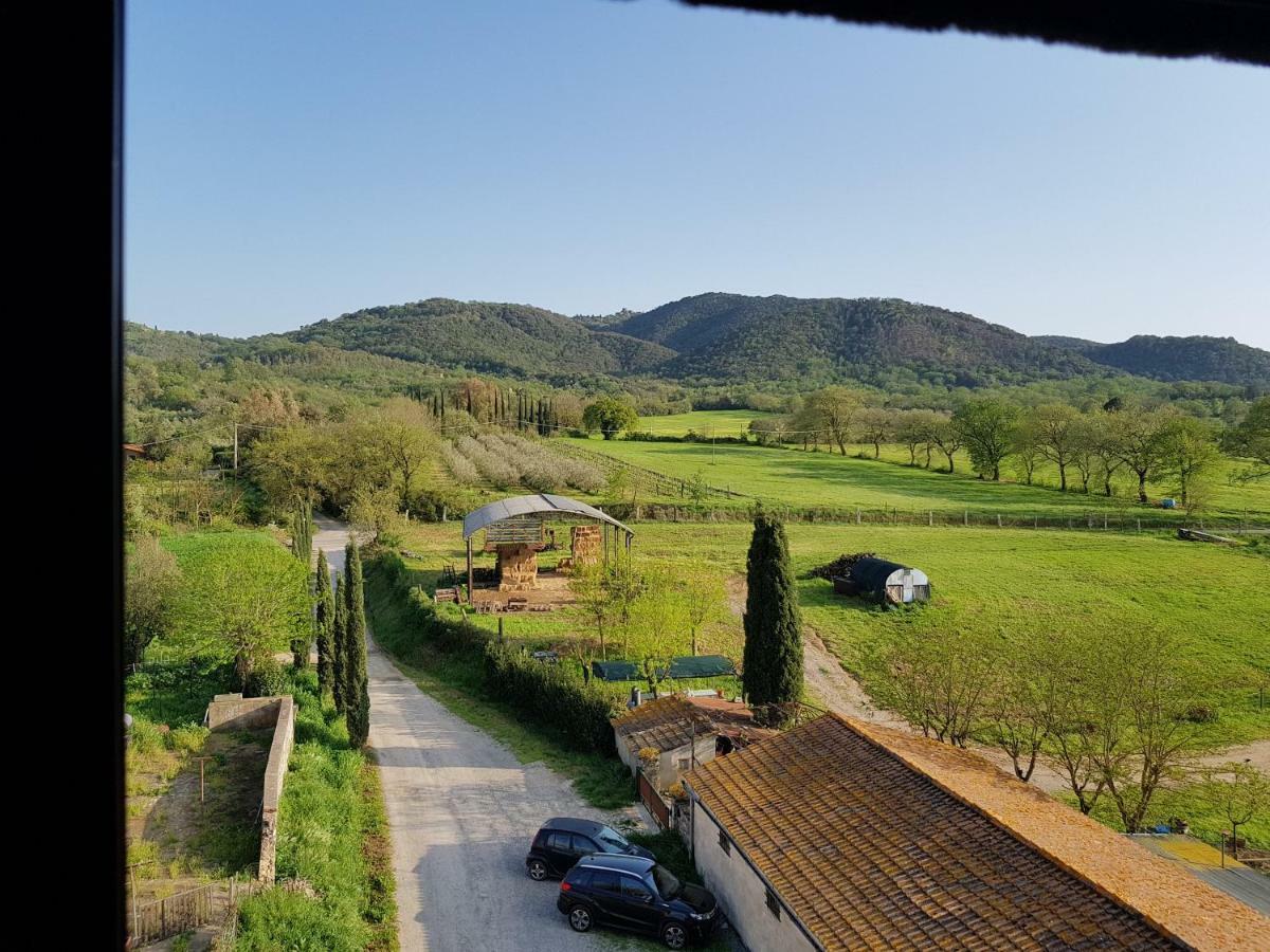 Castello Di Casallia Vetulonia 外观 照片